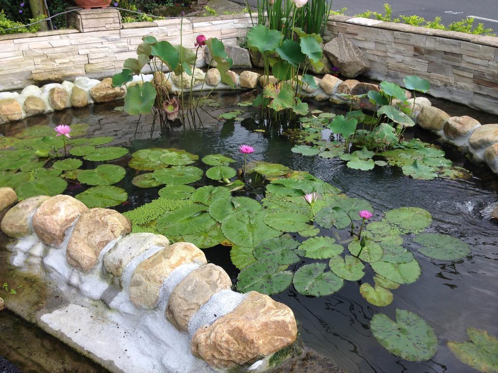 Songyuan B&B Лугу Екстериор снимка
